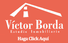 V&iacute;ctor Borda