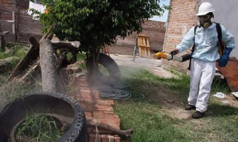 Medidas para la prevención del dengue