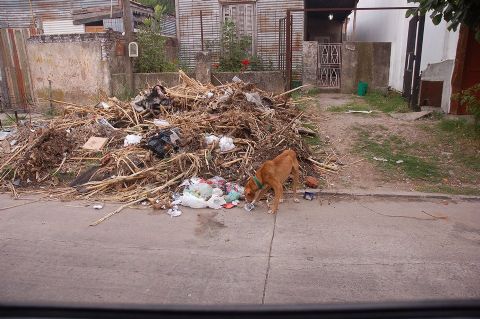 Basura en calle 13 entre 159 y 160