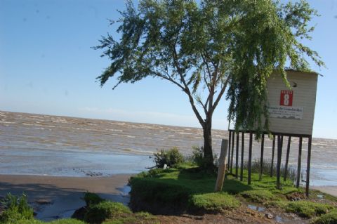 Recomendaciones ante la presencia de serpientes en la zona costera