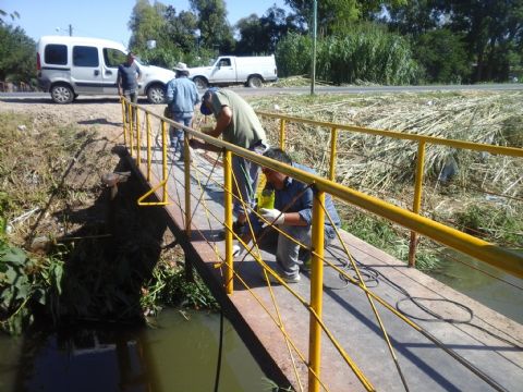 Tareas de mantenimiento en los barrios de la Delegación Zona II