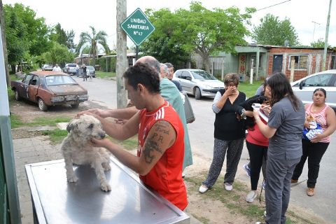 El programa de Control de Zoonosis se traslada a Villa Nueva