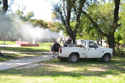 Tareas de descacharreo y fumigación para prevenir el dengue en la ciudad