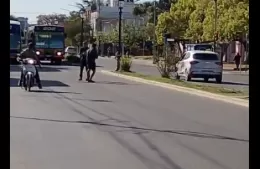 Taxista con pocas pulgas: no contento con pisarle el perro, lo agarró a trompadas