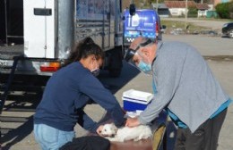 Jornada de vacunación antirrábica en Santa Teresita