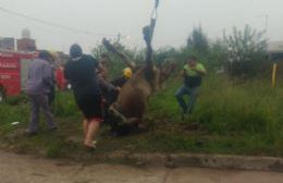 Impresionante rescate de caballo atrapado en un pozo en 161 norte y 24