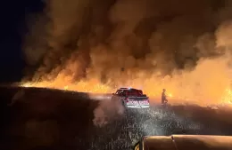 Incendio forestal en Los Talas: trabajaron varias dotaciones y más de 20 bomberos