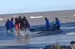 Traslado exitoso tras picadura de raya en Isla Paulino
