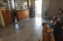 Castración y atención primaria en el Servicio Central y los barrios