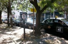 La Cámara de Taxistas exige la modificación de un decreto para la readecuación de las paradas