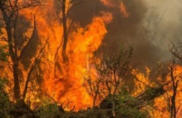 Campaña de donación para afectados por los incendios en la Patagonia