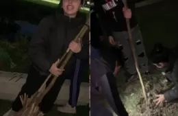 La ONG Rincón Ambiental denunció la destrucción de árboles recién plantados