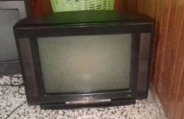 Le robó el televisor a un vecino y cayó presa