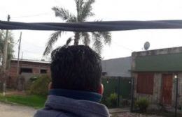 Vecinos piden soluciones: Cable de alta tensión cuelga a la altura de sus cabezas