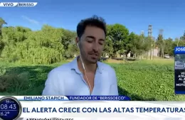 Un medio nacional puso el foco en Berisso: TN cubrió la problemática de las cianobacterias