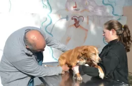 Jornadas veterinarias en distintos barrios de la ciudad
