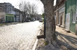 “Hace más de un mes que estamos sin agua, ni una gota”: reclamo vecinal en la calle 1 de Nueva York