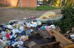 Enorme basural en la esquina de 31 y 165 donde no pasa el camión recolector hace días