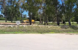 Tras una publicación de BerissoCiudad, retiraron basura de la vía pública