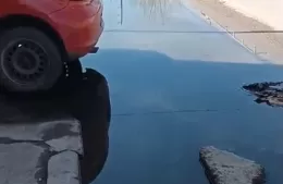 Reclamo vecinal por agua estancada y falta de limpieza en 21 entre 125 y 125 Norte