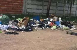 “Estamos llenos de ratas”: piden intervención municipal por basural en El Carmen