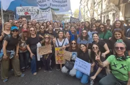 José Scelsio: “Hay una defensa del conjunto de la sociedad por la institución universitaria”