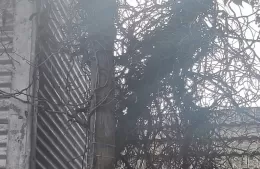 Vecinos de 13 bis y 170 reclaman por falta de luz y mantenimiento