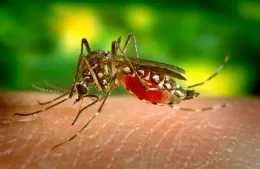 Se realizó una jornada de capacitación y sensibilización del dengue