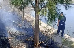 Dulce Navidad con conciencia: no hubo quemados por pirotecnia ni siniestros graves