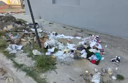 Microbasural genera preocupación entre los vecinos de 14 y 167