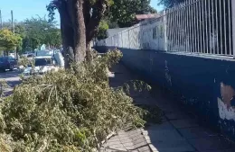Los vecinos de La Franja reclaman la recolección de las ramas