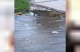 Reclamo de vecinos por aguas servidas en la vía pública