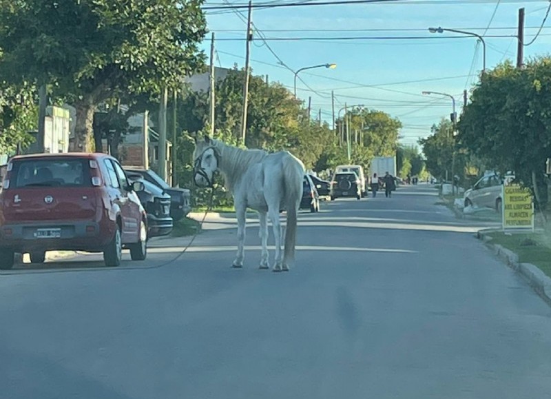 Insólito episodio.