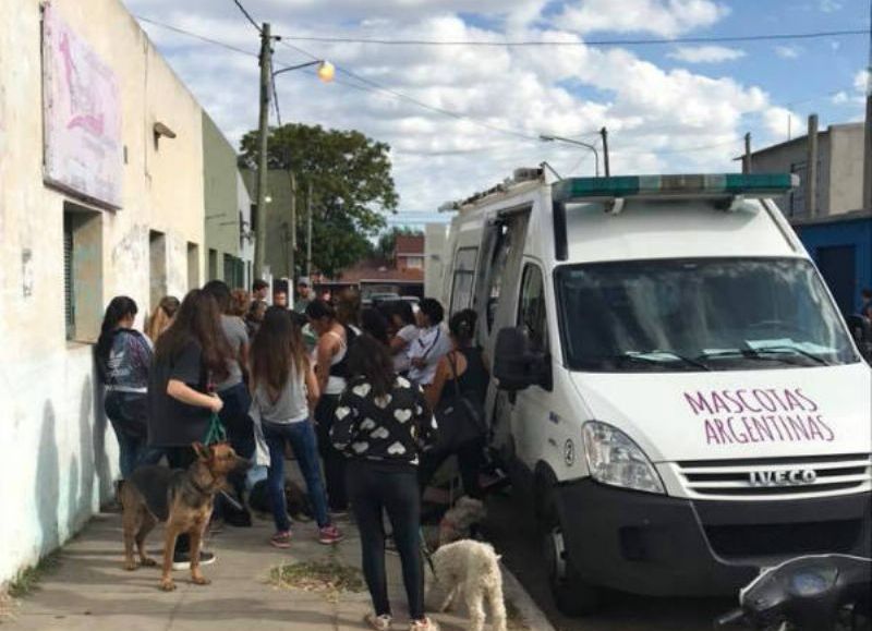 Actividad del Programa "Mascotas Argentinas".