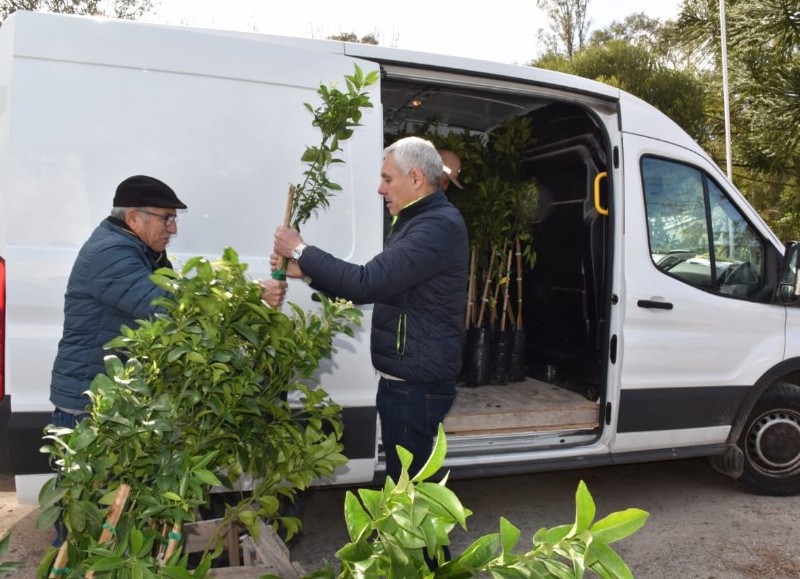 Actividad en el Vivero Municipal.