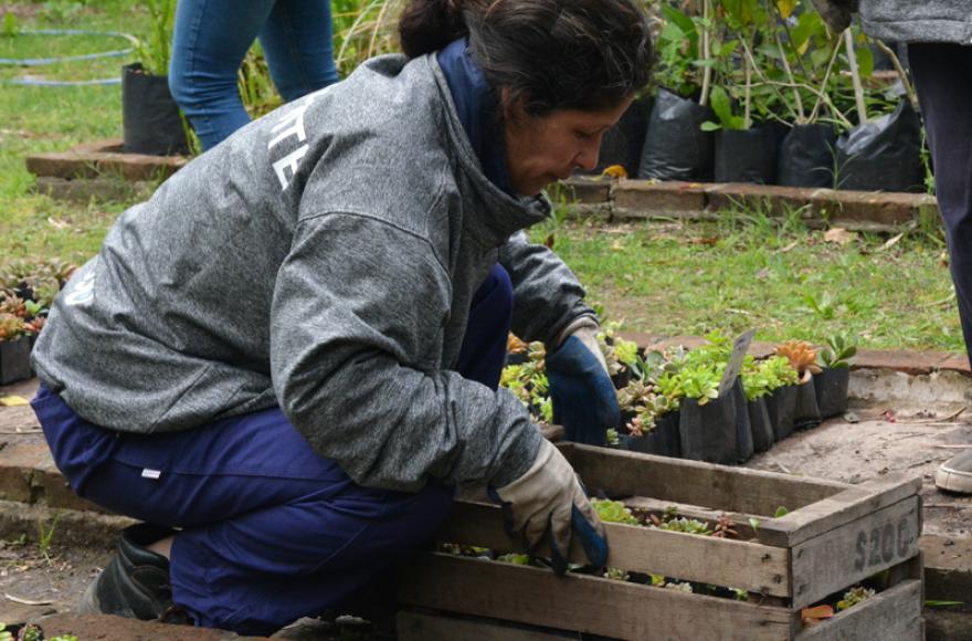 Actividad en el Vivero.