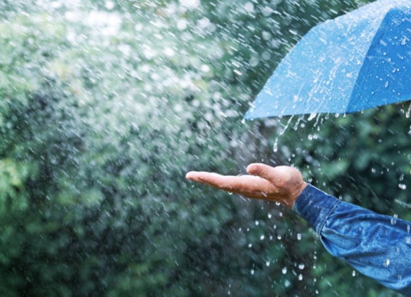 Llegan las precipitaciones.