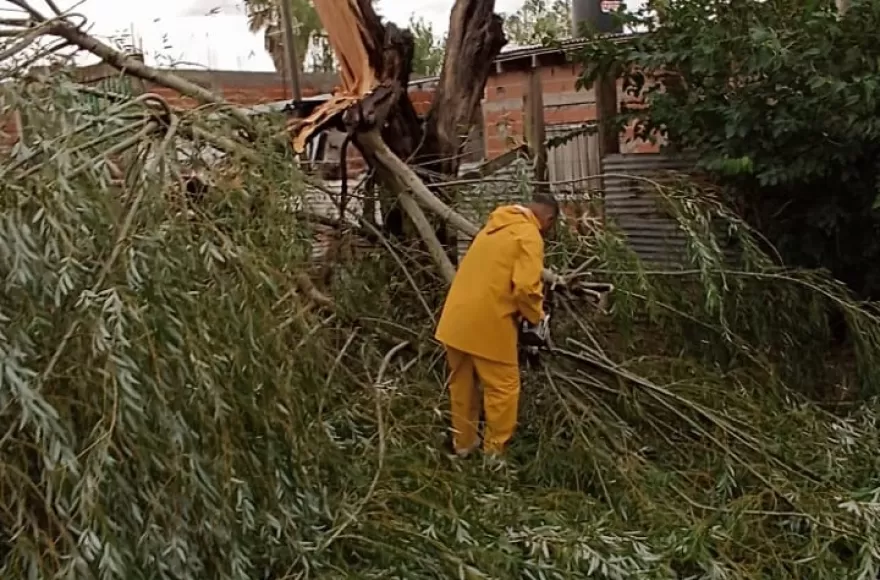 Varias intervenciones de Defensa Civil.