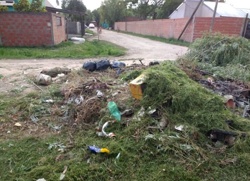 La montaña de basura que se acumula desde hace varios meses