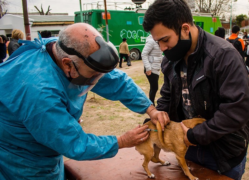 Sanidad animal.