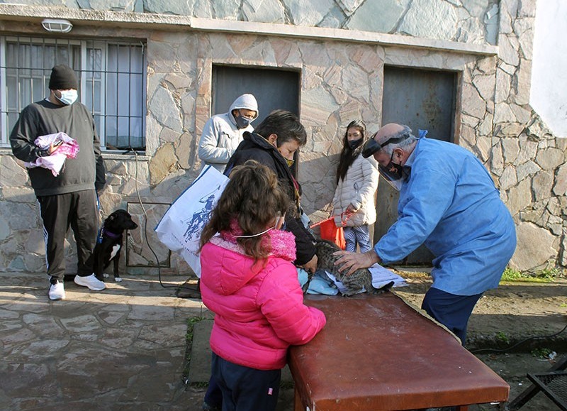 Jornada de castración.