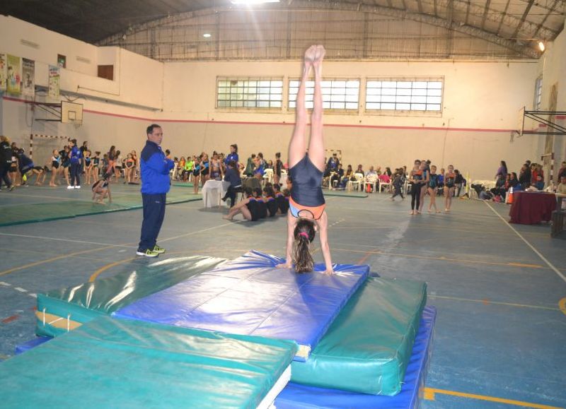 La actividad tuvo lugar en el Gimnasio Municipal.