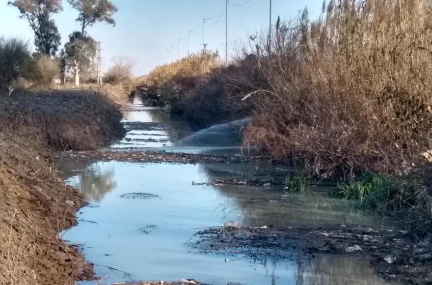 Manguera que derrocha agua potable.