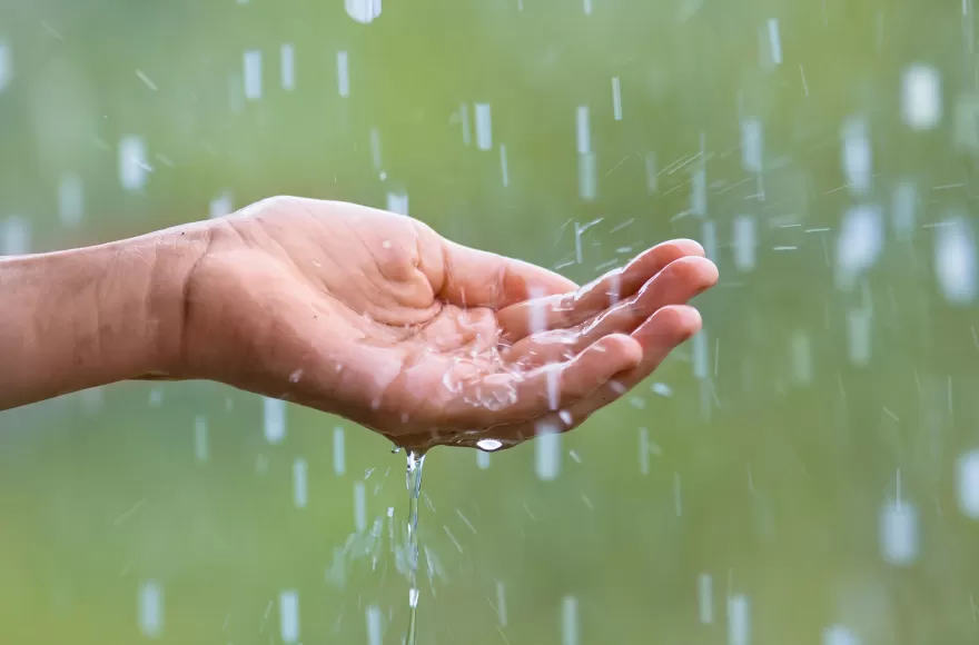 Martes pasado por agua.