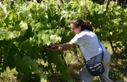 Exitoso Taller “Las mujeres en el mundo de la Producción”