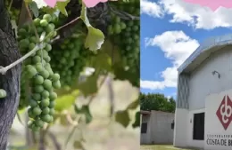 Llega la Fiesta Provincial del Vino de la Costa: recorrido el viñedo y el trabajo de nuestra tierra