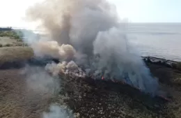 Incendio forestal en Camino Almirante Brown: fue controlado gracias al rápido accionar de los bomberos