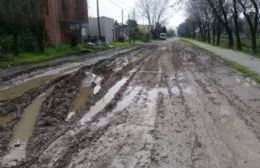 La calle Carlos Gardel se convirtió en un chiquero inaccesible