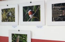 Muestra fotográfica en Casa de Cultura