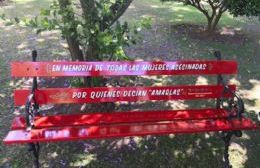 Inauguración del Banco Rojo en memoria de las mujeres asesinadas